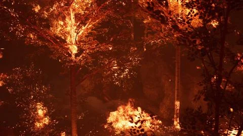 Large flames of forest fire at night Illustrazione stock