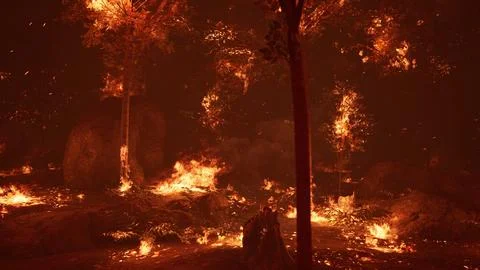 Large flames of forest fire at night Illustrazione stock