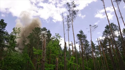 Large flash with smoke and shrapnel in the forest Stock Footage 217377561