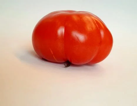 Large Flat Heirloom Tomato Isolated on White Background Stock Photos