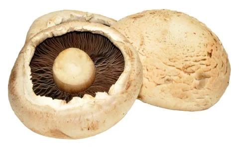 Large Flat Mushrooms Stock Photos