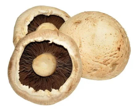 Large Flat Mushrooms Stock Photos