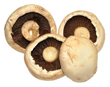 Large Flat Mushrooms Stock Photos