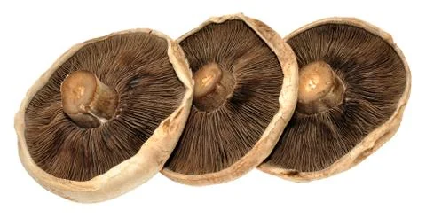 Large Flat Mushrooms Stock Photos
