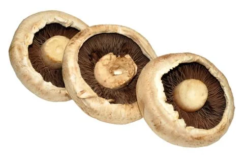 Large Flat Mushrooms Stock Photos