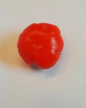 Large flat tomato,  free space below, shot from above Stock Photos