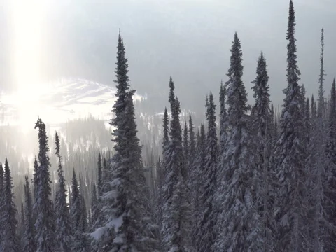 Large flight back over the winter forest and the road Stock Footage 70924884