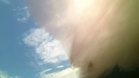 Large floating of algae Stock Footage 34577898