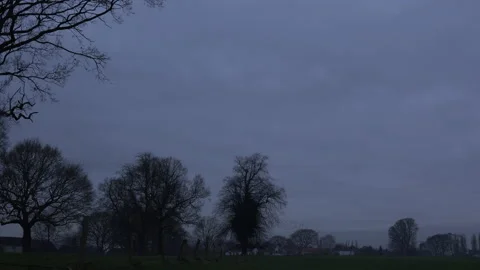 Large flock and trees in the evening as strarling murmuration England UK 4K Stock Footage 169809175