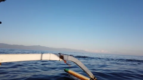  a large flock of dolphins jumping out of the water, close-up. Stock Footage 118280226