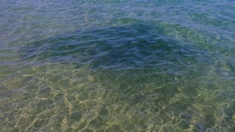 A large flock of small fish in the sea near the shore. Top view. Stock Footage 169409222
