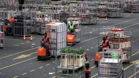 Large flower auction distribution center karts and racks moving over road 4k Stock Footage 77208928
