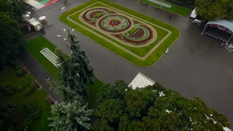 A large flower bed planted with a special form. Colored flowers in the center of 스톡 동영상 93815876