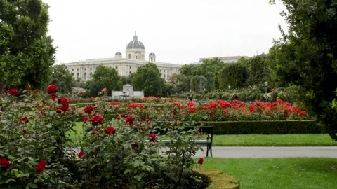 Large flower beds. Cloudy rainy day Video stock 137114137