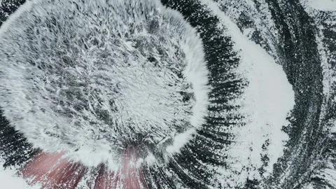 Large fluffy brush on a snow Stock Footage 267421961