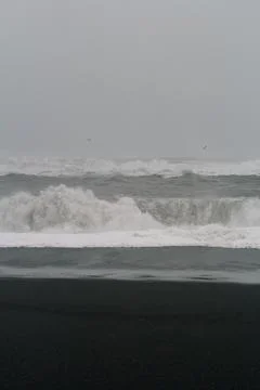 Large foamy waves on coast monochrome landscape photo Stock-Fotos