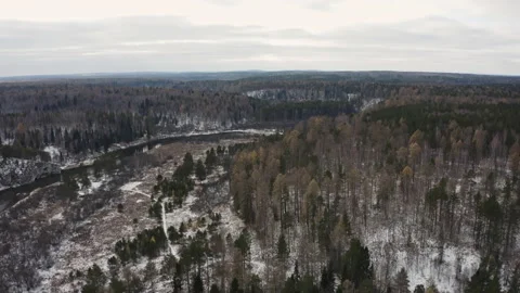 Large forest area with a section of the river Stock-Footage 148530576