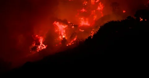 Large forest fire flames engulf trees and scrub at night Stock Footage 74863981