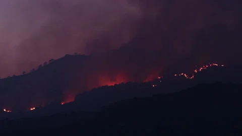 Large Forest Fire at Night Stock Footage 133203360