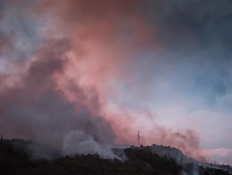 Large forest fire Stock Photos