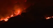 Large Forest Fire Smouldering Through Dry Foliage At Night Stock Footage