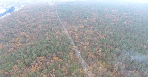 Large forest, high above the forest Stock Footage 82122643