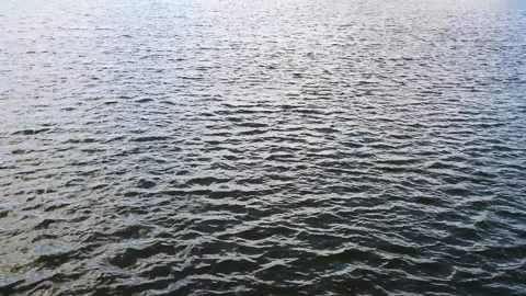 Large Forest lake in the summer. Stock Footage 142095272