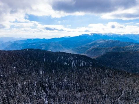 Large forest of snow-covered trees stretches across the mountain range. Cloud Stock Photos