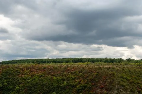 A large forest with trees of different colors Stock Photos