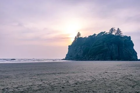 Large forested sea stack in washington with soft sunset Stock Photos