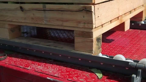 Large forklift unloading crate Video stock 81078163