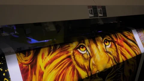 Large format printer is printing colorful illustration of lion at trade show Vidéo 344336695