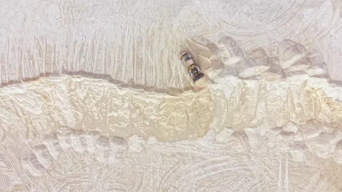 Large fossil discovery in a remote desert location during an archaeological dig Stock Footage 345456454
