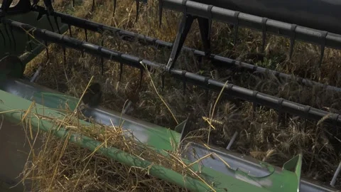 Large frame combine melts wheat in the field Stock Footage 141796507
