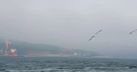 Large freighter moored near quiet town on rising hills Видео 320901833