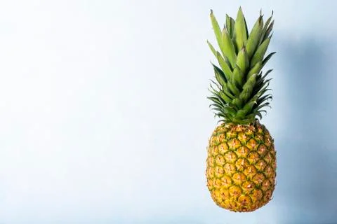 Large fresh pineapple on a light blue background Stock Photos