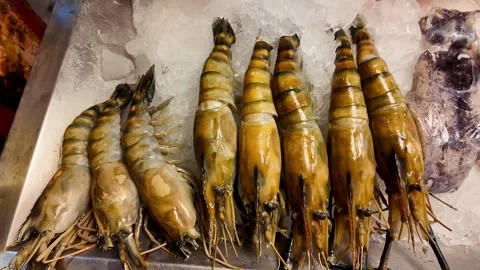Large Fresh Prawns on Ice at a Thai Seafood Market 스톡 동영상 342942321
