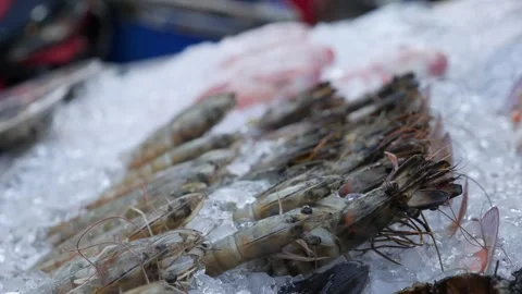 Large fresh tiger prawns displayed on crushed ice at a seafood stall. Their Video stock 309933726