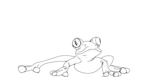 A large frog, banner Stock Illustration