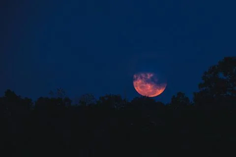 Large full moon partially obscured by clouds above forest silhouette 스톡 사진
