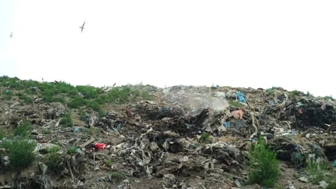 A large garbage dump caught fire, a lot of smoke Stock Footage 203889718