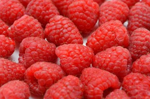 Large garden raspberry berries close-up Foto stock
