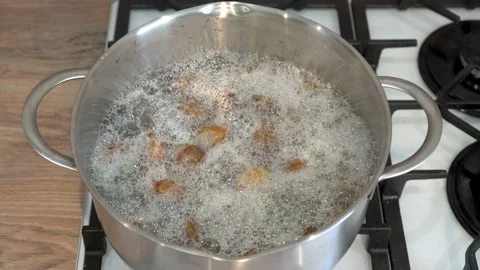 Large garden snails in shells are boiled in boiling water in a saucepan in the Video stock 163517775