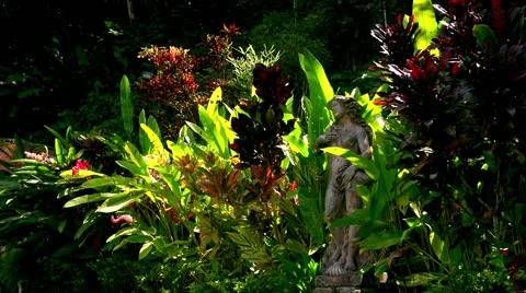 Large garden statue lush plants insects in air 01 스톡 동영상 47490177