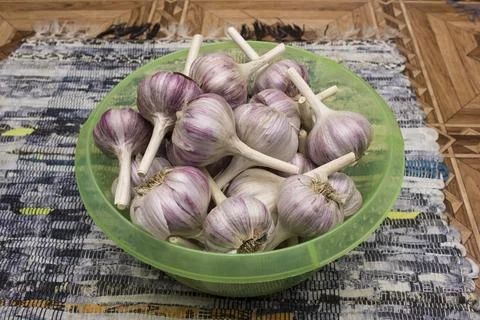 Large garlic bulbs on a plastic dish Stock Photos