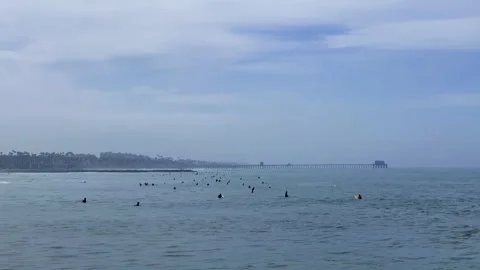 Large Gathering of Surfers Wait For Waves Early Morning Surf Southern California Video stock 244950160
