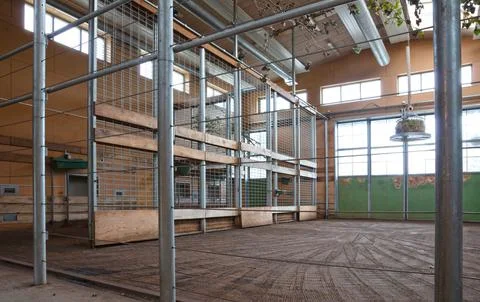 Large giraffe indoor accomodation, empty Stock Photos