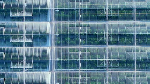 Large Glass Greenhouse is Surrounded by Fields. Modern Greenhouses Aerial View Video stock 268976833