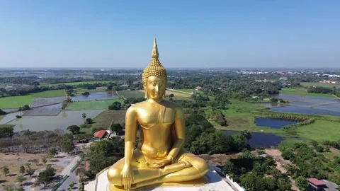 A large golden Buddha statue in a rice field Stock Footage 331902269