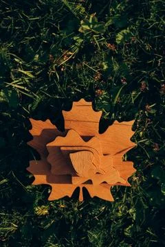 Large Golden Maple Leaf on Green Background Stock Photos